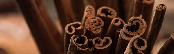 Close up view of aromatic fresh cinnamon sticks, panoramic shot — Stock Photo