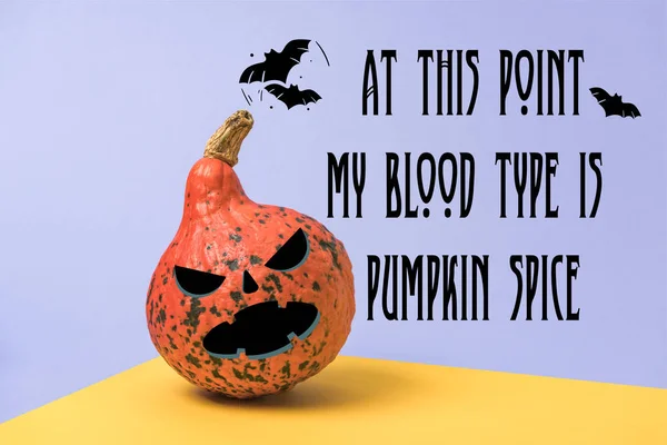 Orange Halloween pumpkin on violet and yellow background with at this point my blood type is pumpkin spice illustration — Stock Photo