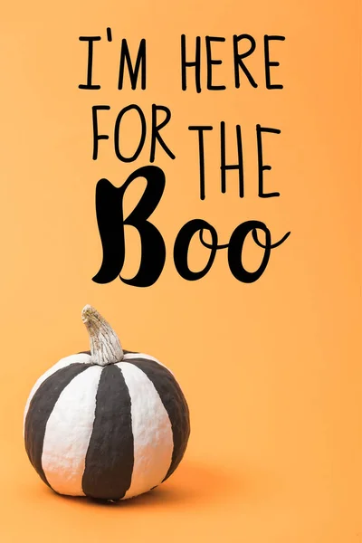 Striped painted black and white Halloween pumpkin on orange colorful background with i am here for the boo illustration — Stock Photo