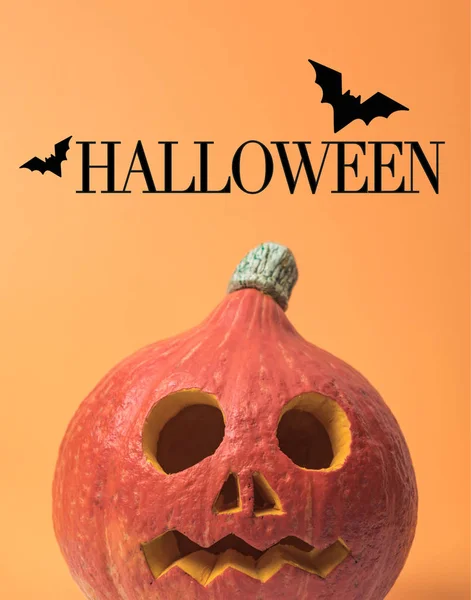 Gruseliger Halloween-Kürbis auf orangefarbenem Hintergrund mit Halloween-Illustration — Stockfoto