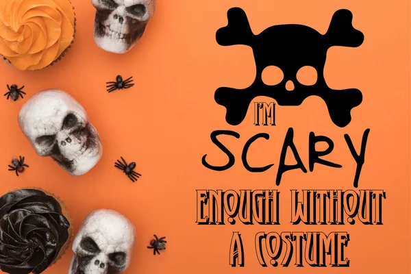 Vista superior de cupcakes, calaveras decorativas y arañas sobre fondo naranja con i am scary enough without a costume illustration - foto de stock