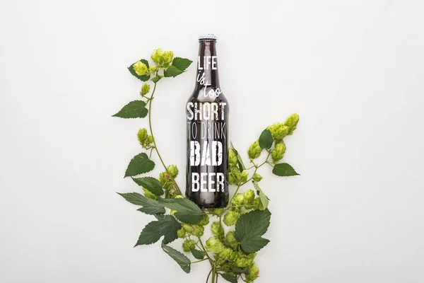 Верхний вид пива в бутылке с жизнью слишком короткий, чтобы пить плохое пиво буквы возле зеленого цветущего хмеля на белом фоне — стоковое фото