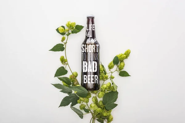 Top view of beer in bottle with life is too short to drink bad beer lettering  near green blooming hop on white background — Stock Photo