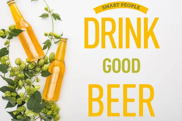 Top view of beer in bottles with green hop on white background with smart people drink good beer illustration — Stock Photo