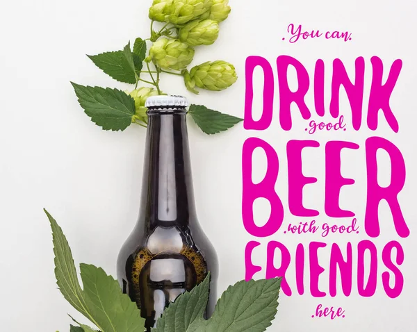 Top view of beer in bottle with green blooming hop on white background with purple you can drink good beer with good friends here illustration — Stock Photo