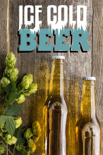 Вид на свежее пиво в бутылках с зеленым хмелем на деревянной поверхности с надписью холодного пива — стоковое фото
