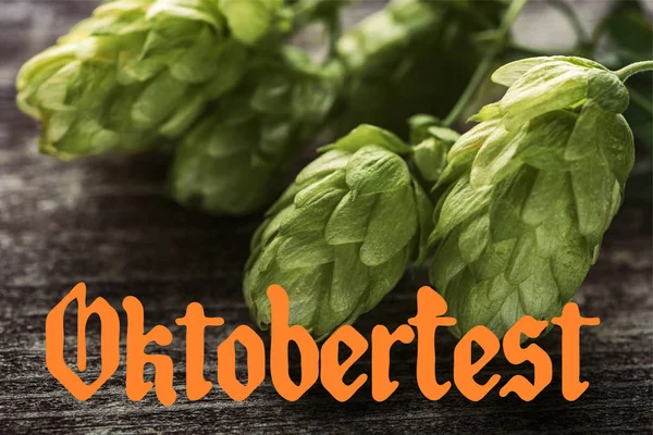 Vue rapprochée du houblon vert sur table en bois avec lettrage Oktoberfest orange — Photo de stock