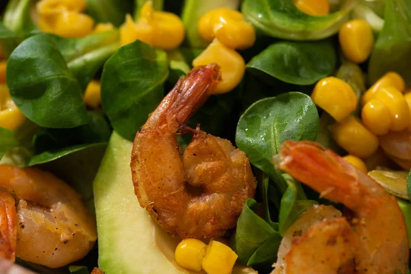 Vista de cerca de la ensalada verde fresca con maíz, camarones y aguacate - foto de stock