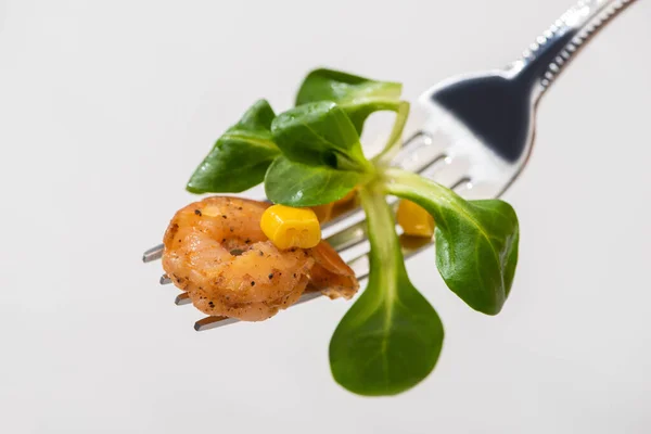 Vista de perto de microgreen fresco com camarão e milho em garfo isolado em branco — Fotografia de Stock