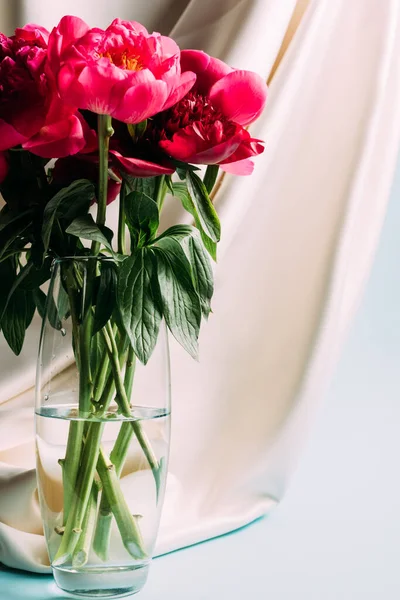 Ramo de peonías rosadas en jarrón de vidrio cerca de tela beige sobre fondo azul - foto de stock