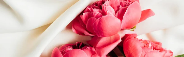 Top view of bouquet of pink peonies on white cloth, panoramic shot — Stock Photo