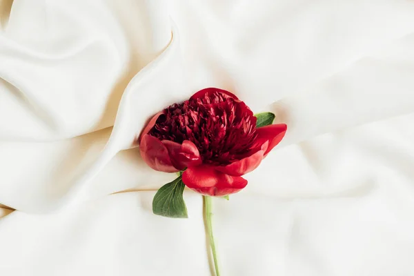 Top view of red peony on white cloth — Stock Photo