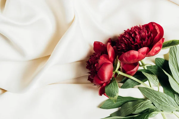 Vue de dessus des pivoines rouges sur tissu blanc — Photo de stock