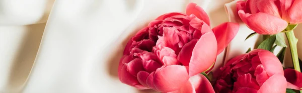 Top view of pink beautiful peonies on white cloth, panoramic shot — Stock Photo