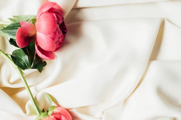 Vista dall'alto di belle peonie rosa su panno bianco — Foto stock