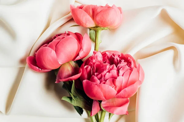 Vista superior de hermosas peonías rosadas sobre tela blanca - foto de stock