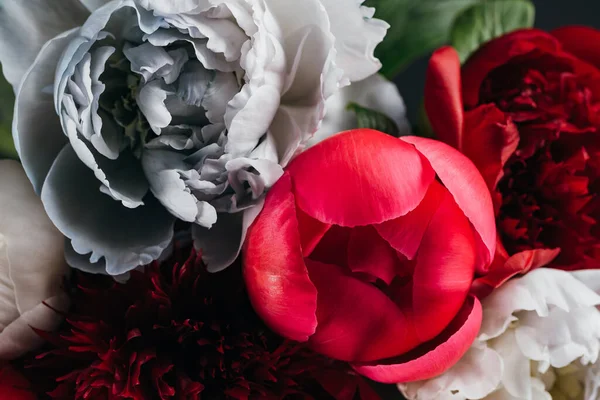 Vue rapprochée des pivoines rouges, blanches, bleues et roses — Photo de stock