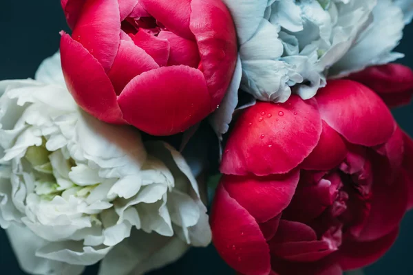 Bouquet of wet pink and blue peonies isolated on black, close up view — Stock Photo