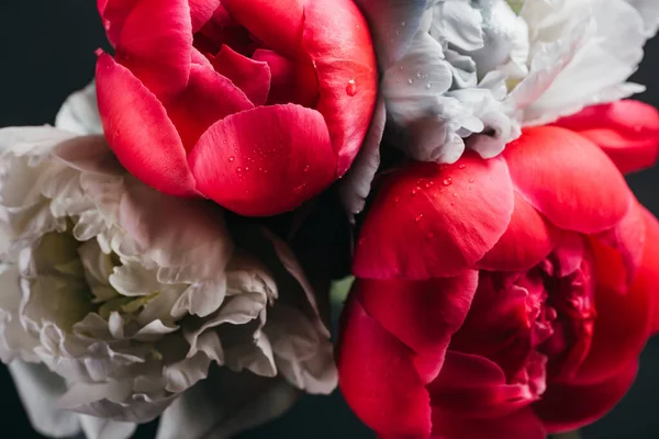 Bouquet of wet pink and blue peonies isolated on black, close up view — Stock Photo