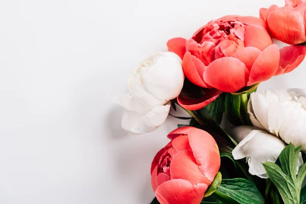 Top view of pink and white peonies with green leaves on white background — Stock Photo