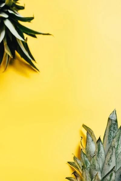 Selective focus of green pineapple leaves on yellow background — Stock Photo