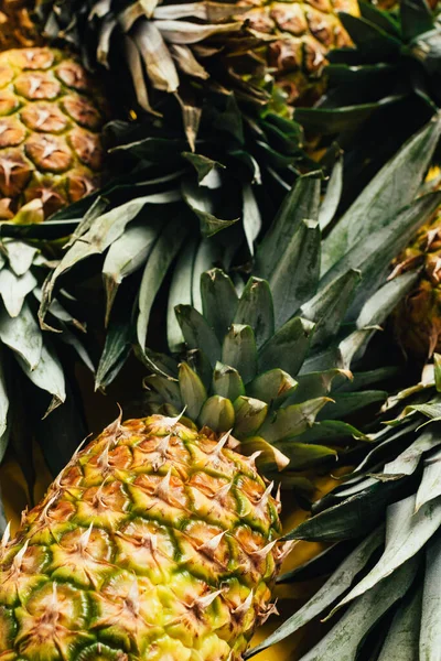 Enfoque selectivo de piñas frescas maduras con hojas verdes — Stock Photo