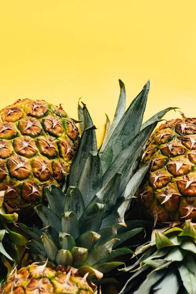 Ananas freschi maturi con foglie verdi su sfondo giallo — Foto stock