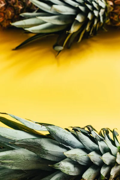 Enfoque selectivo de hojas verdes en piñas sobre fondo amarillo — Stock Photo