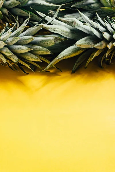 Feuilles d'ananas vert sur fond jaune avec espace de copie — Photo de stock