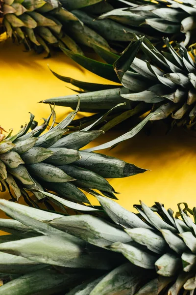 Foglie di ananas verde su fondo giallo — Foto stock