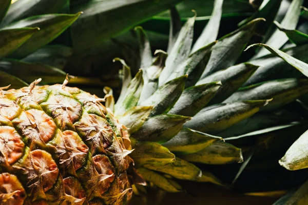 Close up view of fresh ripe pineapple with green leaves — Stock Photo