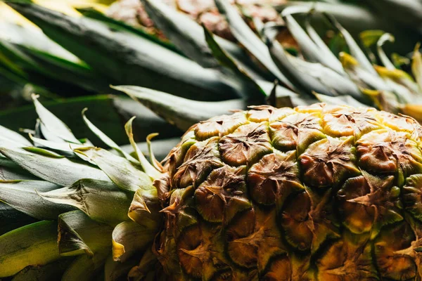 Selective focus of fresh ripe pineapple with green leaves — Stock Photo