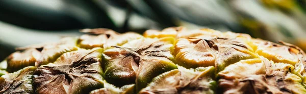 Close up view of textured peel of pineapple, panoramic shot — Stock Photo