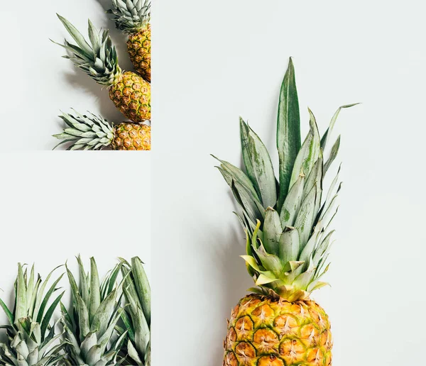 Collage of ripe pineapples with green leaves on white background — Stock Photo