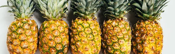 Flat lay with fresh ripe pineapples with green leaves on white background, panoramic shot — Stock Photo