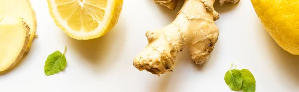 Top view of ginger root, lemon and mint leaves on white background, panoramic shot — Stock Photo
