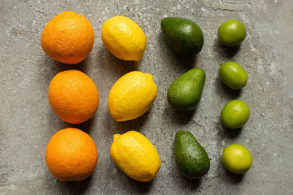 Flat lay com laranjas coloridas, abacate, limas e limões na superfície de concreto cinza — Fotografia de Stock