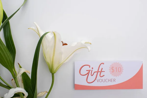 Draufsicht auf Geschenkgutschein mit 10-Dollar-Zeichen in der Nähe von Lilie auf weißem Hintergrund — Stockfoto