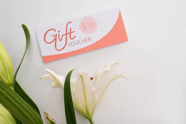 Top view of lily with leaves and gift voucher on white background — Stock Photo