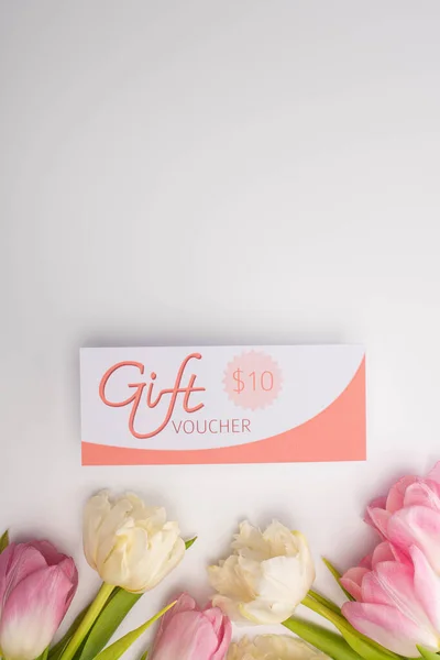 Вид зверху на тюльпани та подарунковий ваучер із знаком 10 доларів на білій поверхні з місцем для тексту — стокове фото