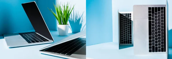 Collage of modern laptops on blue workplace with green plant — Stock Photo