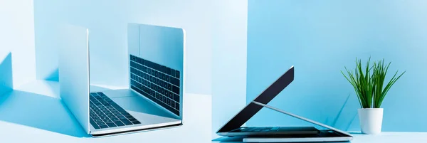 Collage of modern laptops on blue workplace with green plant, panoramic shot — Stock Photo