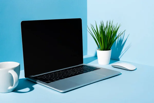 Modern laptop with computer mouse near green plant and mug on blue background — Stock Photo