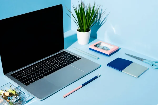 Laptop moderno com artigos de papelaria e planta no local de trabalho azul — Fotografia de Stock