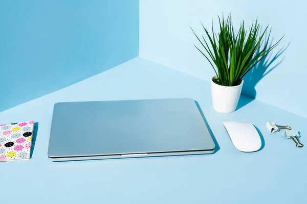 Laptop moderno com artigos de papelaria e planta no local de trabalho azul — Fotografia de Stock