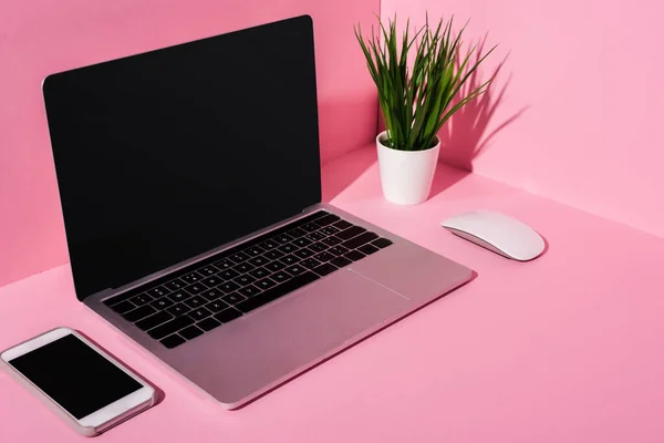 Pink workplace with modern gadgets and green plant — Stock Photo