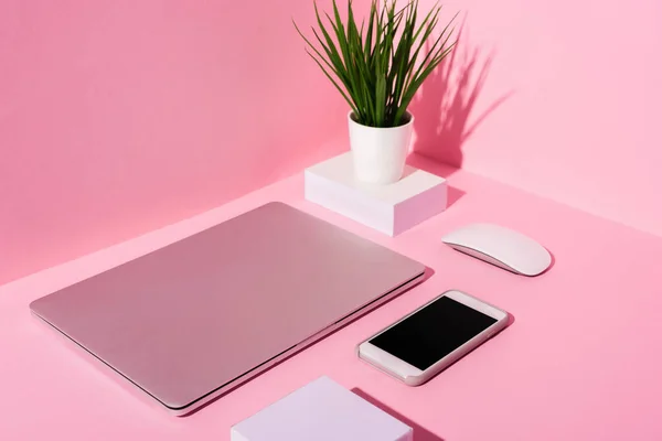 Local de trabalho rosa com notas pegajosas em branco, smartphone, laptop, mouse e planta — Fotografia de Stock