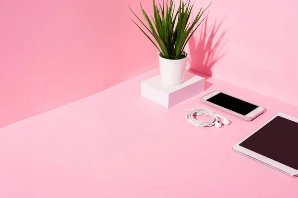Gadget moderni con schermi vuoti, auricolari e piante su sfondo rosa — Foto stock