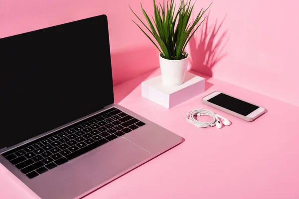 Aparatos modernos con pantallas en blanco, auriculares y planta sobre fondo rosa - foto de stock