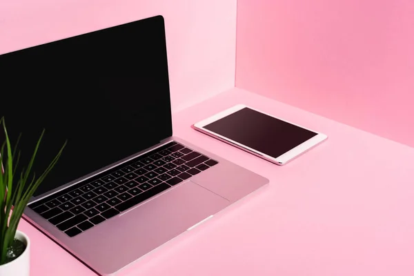 Сучасні гаджети з порожніми екранами і рослиною на рожевому фоні — стокове фото